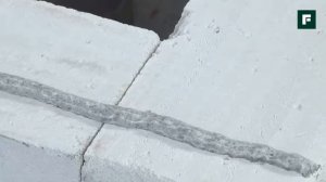 Мастер класс по кладке газосиликатных блоков на клей пену ТЕХНОНИКОЛЬ