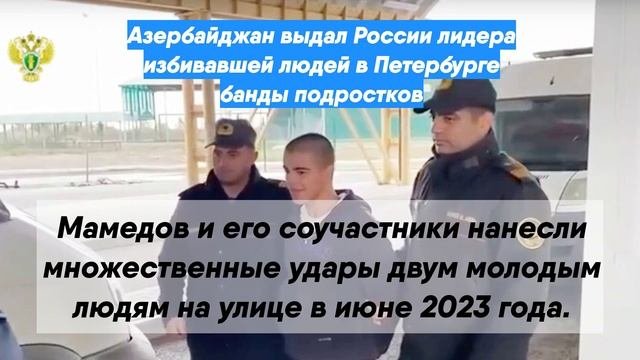 Азербайджан выдал России лидера избивавшей людей в Петербурге банды подростков