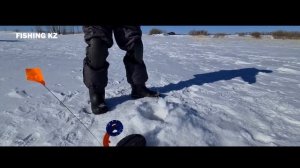 Зимняя рыбалка с камерой ФИШКА 703 Ловля плотвы на мормышку-Подводные съемки