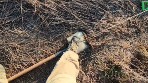 совковая  лопата  якорь  в  траве с  полуподъёмом