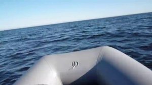 Лодка ПВХ+мотор 5 сил