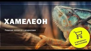 Обзор конструктора лендингов  Хамелеон