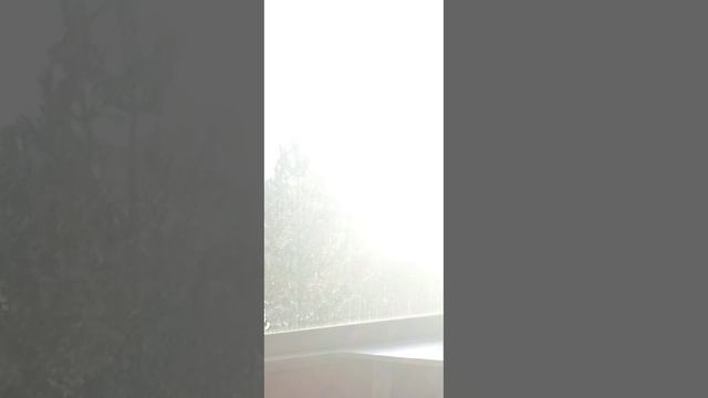 Стих: Михаила Юрьевича Лермонтова. Смерть поэта...(