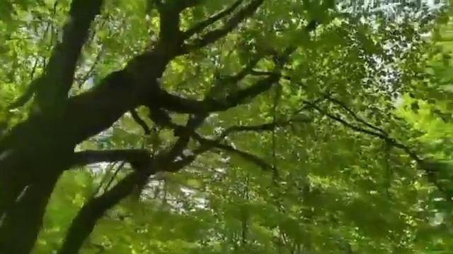 Встреча друзей|Интересные истории из жизни. смотреть онлайн