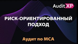 Риск-ориентированный подход в аудите по МСА. AuditXP Professional