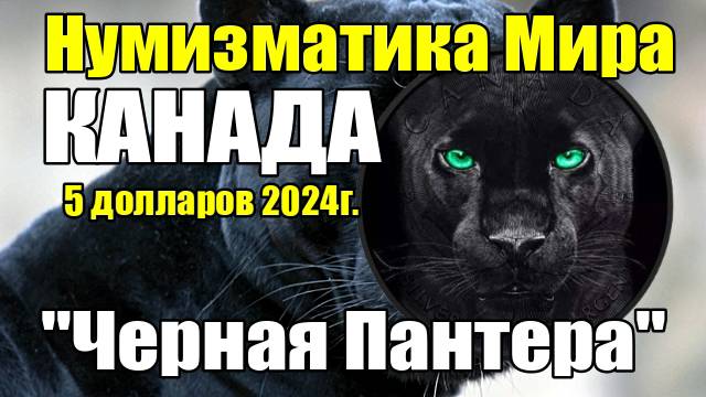 Нумизматика Мира КАНАДА 5 долларов 2024г. 