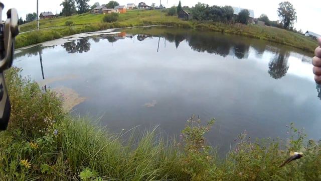 Наноджиг на Приманку Tsunekichi Worm (Спиннинг Major Craft Trapara Area 602XUL - 0,5-2г) смотреть онлайн