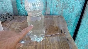 Ещё раз про капельный полив с помощью пластиковой бутылки.