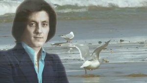 Яак Йоала - Чайки над водой (Е. Мартынов - А. Дементьев)