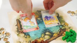 Настольная игра ПРАВИЛЬНЫЕ ИГРЫ Эволюция. Естественный отбор
