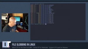 File Globbing In Linux