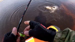Распаковка и обзор лодки RiverBoats 350 НДНД. Рыбалка с лодки.
