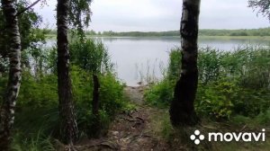 Путешествие на юг и выше! Деревня Верейка, Егорьевск, природа, озера, утки...