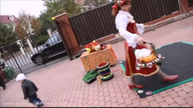 Дрессированные животные на детский праздник