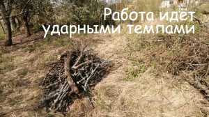 003_Продолжаем уборку участка,обрезаем деревья