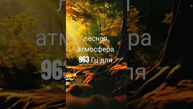 Лесная атмосфера с частотой 963 Гц для релаксации, медитации и проявления