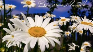 Я хочу всем рассказать о великой той любви🕊🙏🏻