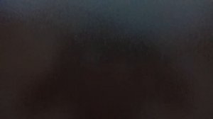 Покраска ворот не снимая.