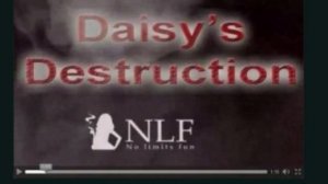 Daisy destruction