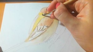 Рисунок акварелью. Рисунок воробья просто.