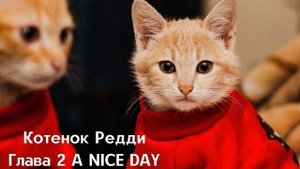 Котенок Рэдди. Глава 2. A NICE DAY. Забавные истории котенка Рэдди.