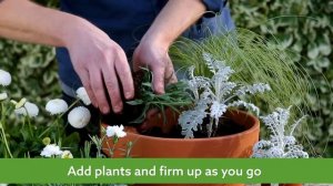 How to: Plant a patio pot