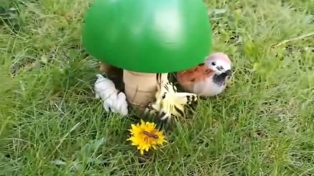 Праздник лета! « Под грибом» смотреть онлайн