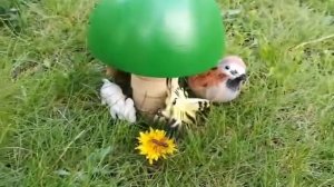 Праздник лета!      « Под грибом»