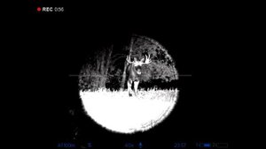 Охота на лося и оленя на реву.