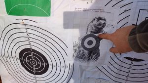Экспансивная способность пули калибра 22lr Охотник 370Э. МР-141 Соболь Компакт