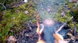 ПВД 1. Тайга, когда выходной, дома не сидится.