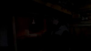 Бюджетный вариант утепления курятника в зиму