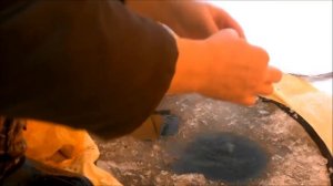 Рыбалка в Омской области. Лещ!