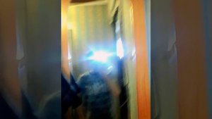 Прислали дилдак