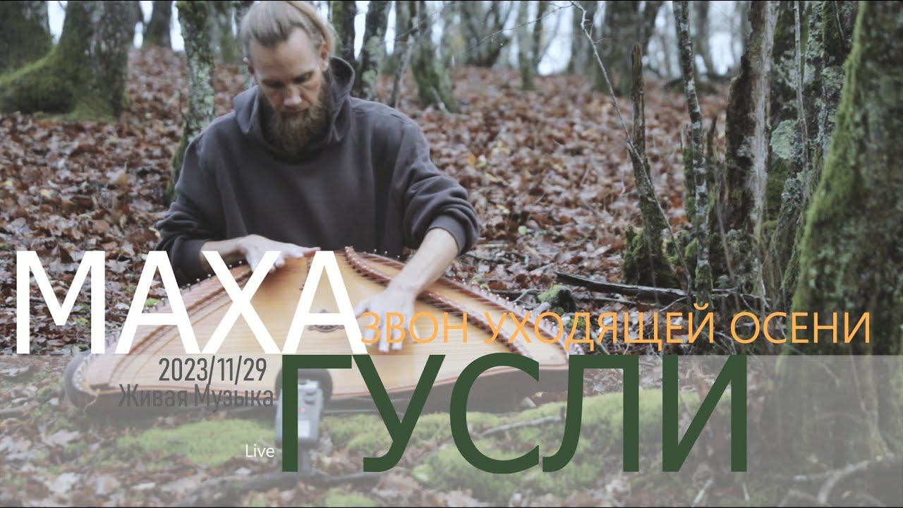 Звон Уходящей Осени | МахаГусли | 2023-11-29 | Live