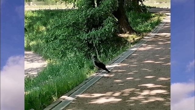 Простое счастье