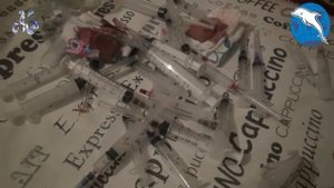 Отчет Фонда ГБН, сентябрь октябрь, 2016г SD, 854x480p