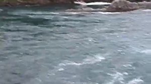 Кизир 3 порог 2015