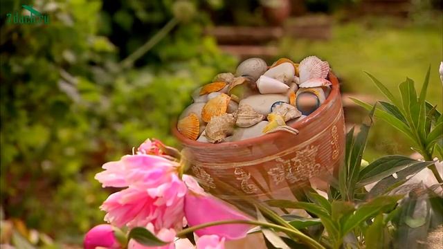 ЭКОСАД и поилка для птиц - 7 дач смотреть онлайн