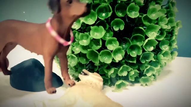 Aleksa Schleich/Клип Неудачница. смотреть онлайн