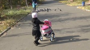 Коляска для кукол распаковываем собираем гуляем катаем котёнка Baby doll strolle