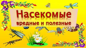 Насекомые вредные и полезные