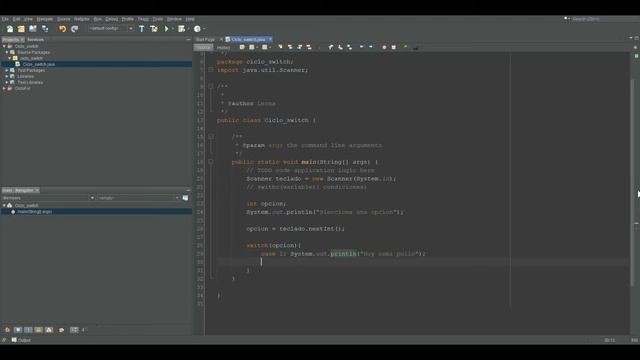 Ciclo switch en java