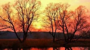 Не бродить,не мять в кустах багряных лебеды ....mp4