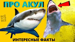 ИНТЕРЕСНЫЕ ФАКТЫ ПРО АКУЛ