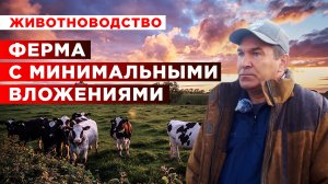 Ферма с минимальными вложениями | Поддержка фермеров | Гранты фермерам