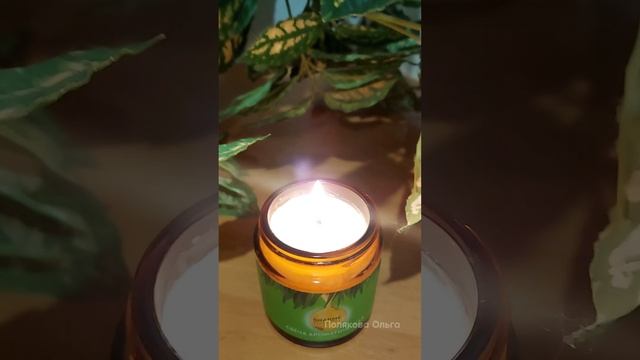 Как я избавилась от комаров