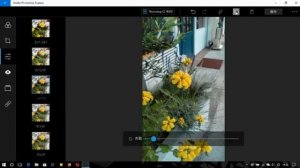 Photoshop Express(Windows)の基本操作