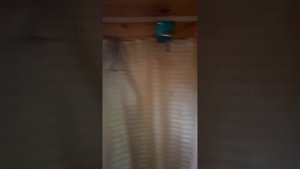 Обустройство туалета и душа в бытовке на даче, полезные советы.