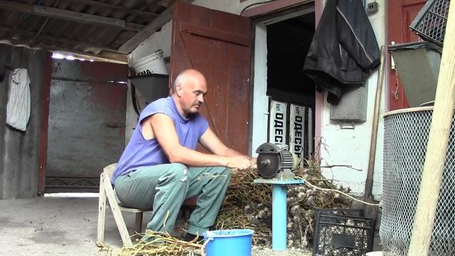 Лайфхак: как быстро обрезать корни и стебли у чеснока